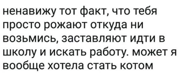 Переживания по поводу и без Переживания по поводу и без