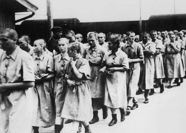 Узницы лагеря, признанные годными для работы, май 1944 года аушвиц, вторая мировая война, день памяти, конц.лагерь, концентрационный лагерь, освенцим, узники, холокост