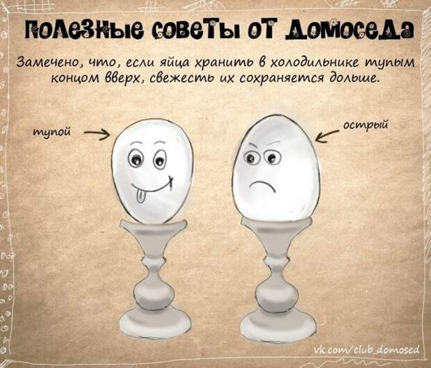 советы