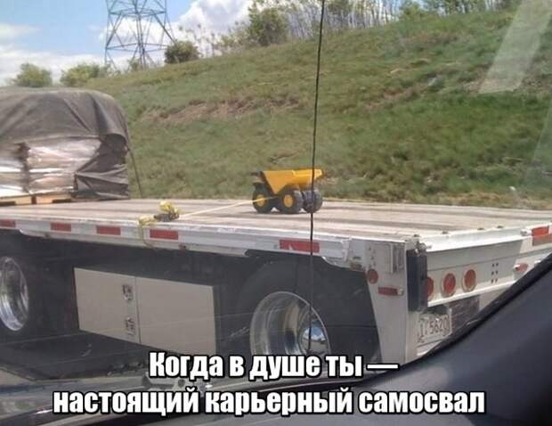 Пока не увидишь - не поверишь!