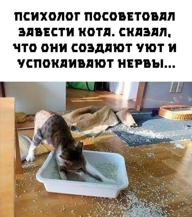 Он изучал бензопилу в магазине с таким выражением лица, что охранник вызвал полицию. Так, на всякий случай Он изучал бензопилу в магазине с таким выражением лица, что охранник вызвал полицию. Так, на всякий случай дождь, говорит, друзья, помогал, пойдешь, всегда, отсюда, каждый, вчера, рисовали, российский, чтобы, мужик, святой, такой, почему, пошел, трахнул, таким, мужчины