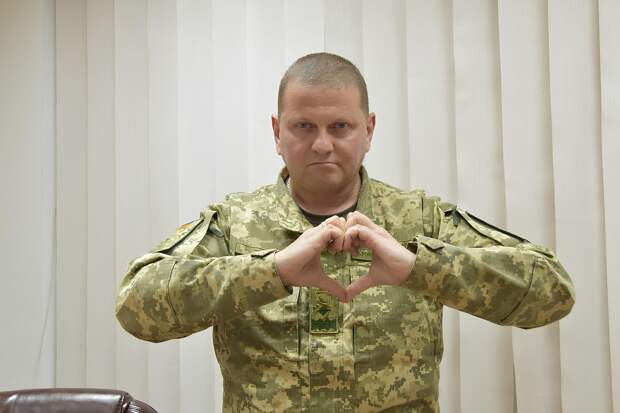 Главнокомандующий ВСУ Валерий Залужный фактически может стать гарантированным президентом страны. Об этом в эфире...