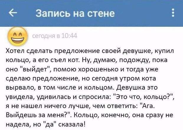 Картинки, юмор, приколы