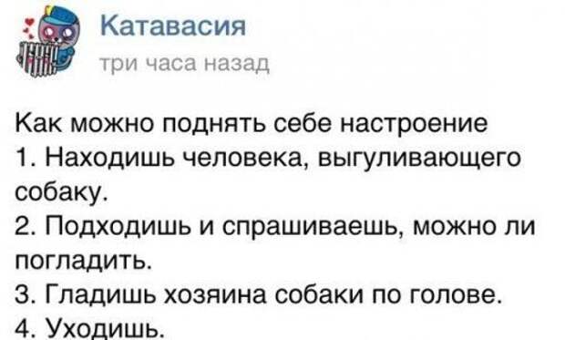 Картинки с забавными подписями