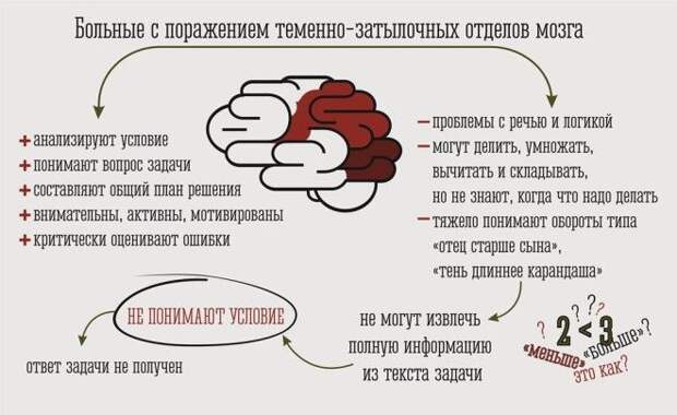 теменнаяИСПРАВЛЕНО.jpg теменнаяИСПРАВЛЕНО.jpg