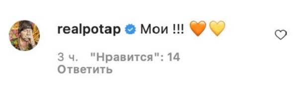 Комментарий Потапа под фотографией Горовой с детьми