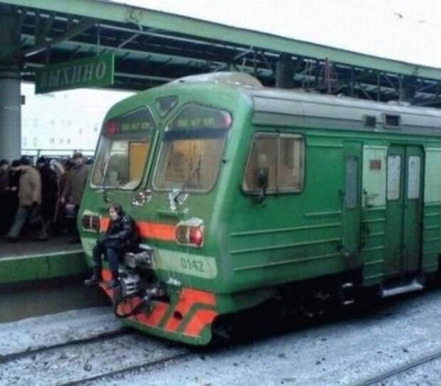 Зайцы