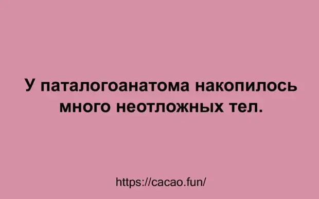 Смешные анекдоты и веселые высказывания, которые точно вам пригодятся