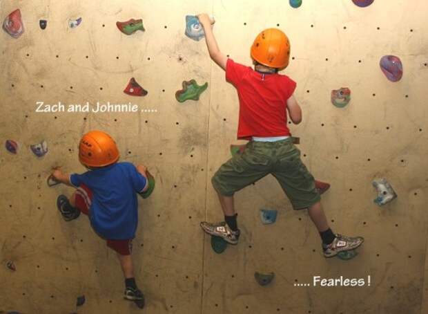 visit-river-dart-country-park-climbing-wall