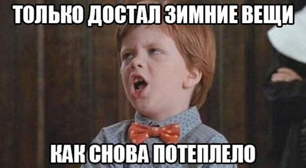 Картинки с забавными подписями