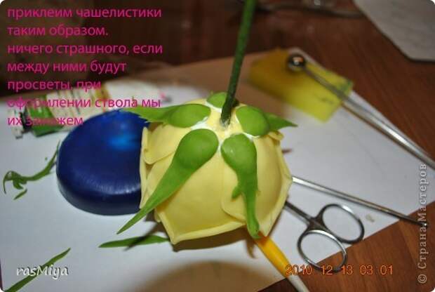 Мастер-класс Лепка МК по лепке розы Часть 2-чашелистики Фарфор холодный фото 6