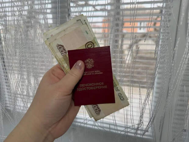 Стаж могут «потерять», а данные обнулить: что потребовать в СФР до и после назначения пенсии