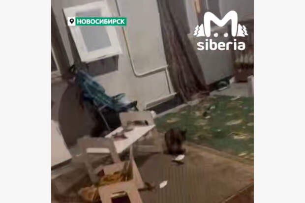 Жители российского города пожаловались на устраивающих «вписки» с поджогами подростков