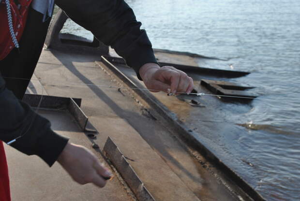 В Ростовской области рыбака задержали с гигантским незаконным уловом
