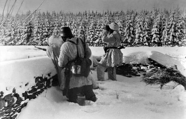 арденны.jpg