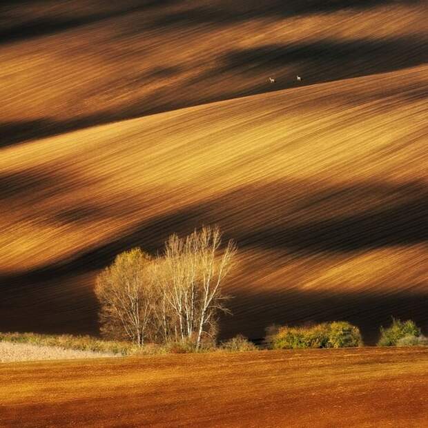 100 лучших фото без фотошопа