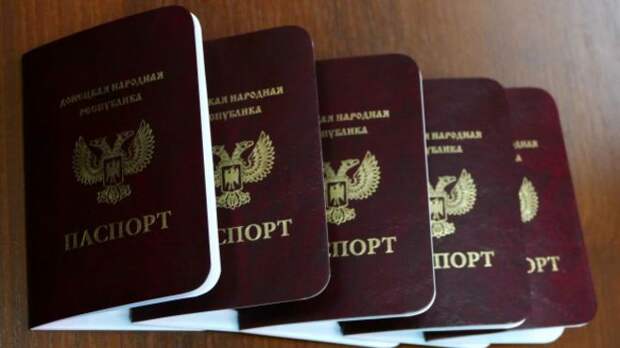 паспорт паспорт
