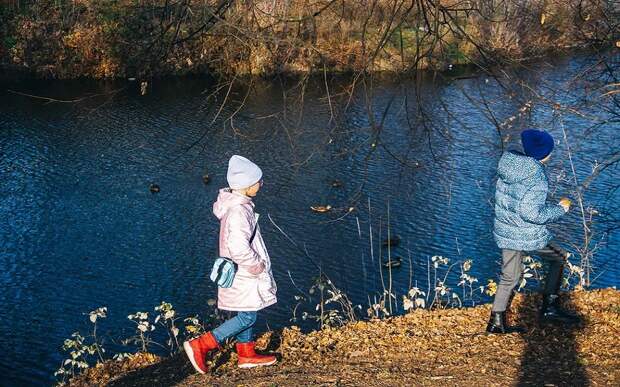 Рязанская область вошла в число регионов с наименьшим количеством беспризорников