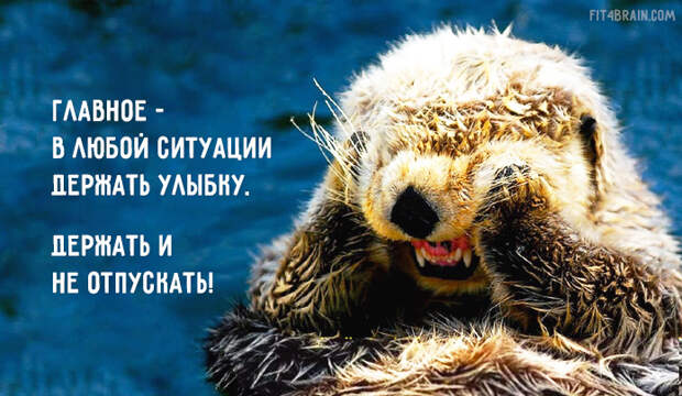 Совет дня