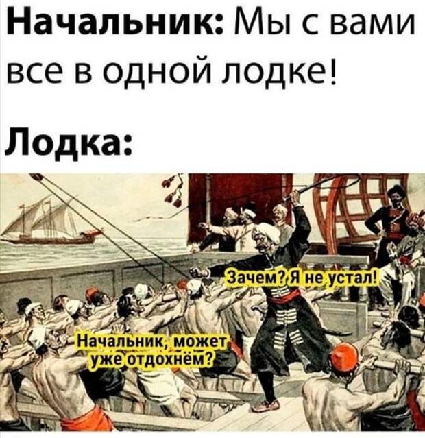 Свежие хорошие лучшие картинки