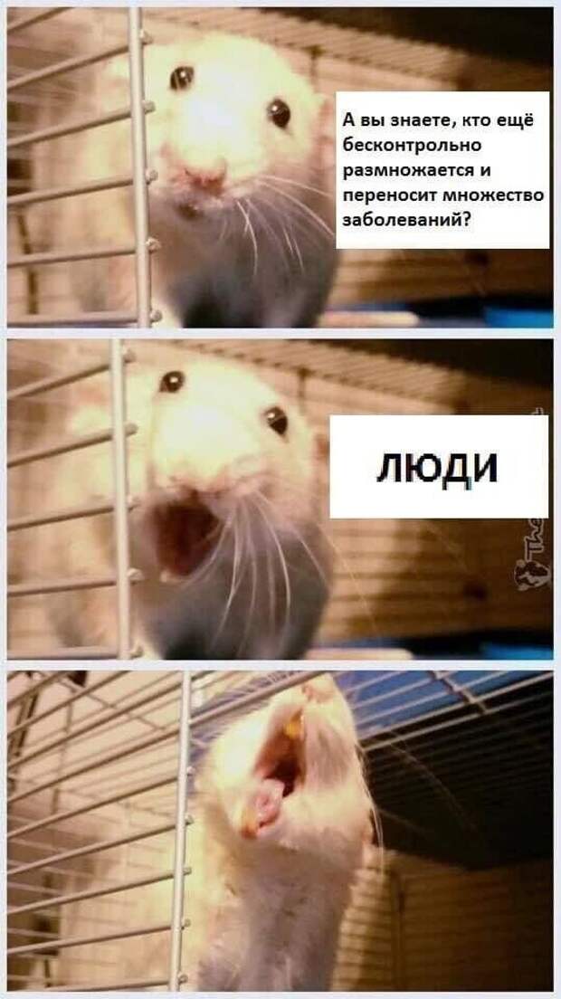 Юмор цвета антрацит