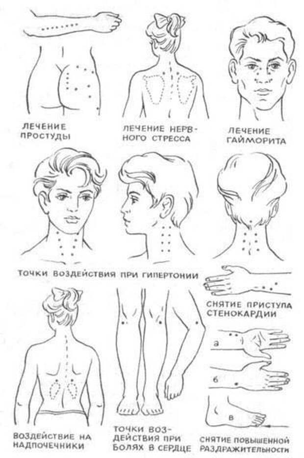 3416556_10802006_835088283180845_6693946341166230721_n (382x575, 31Kb)