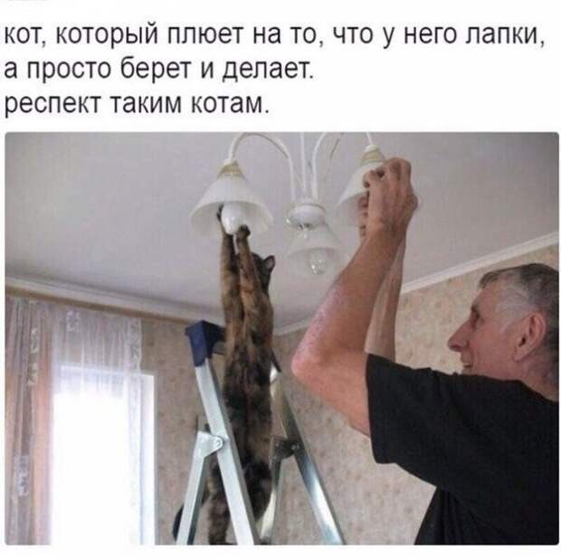 Очередная порция картинок с подписями картинки с подписями, подборка, позитив