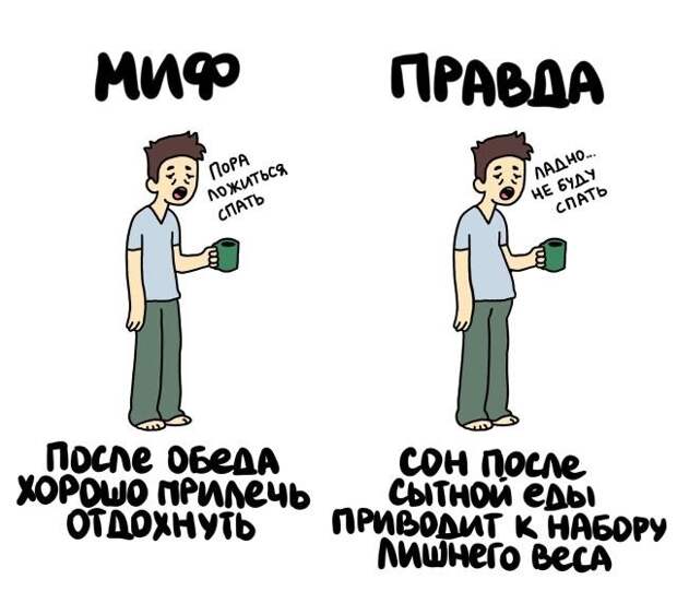 Короткие интересные факты на все случаи жизни