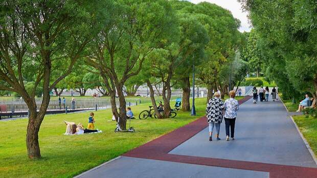 Теплая погода ожидается в Московском регионе в среду