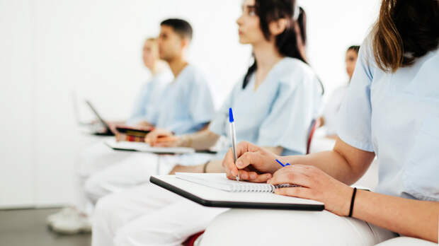 Юрист рассказала о планах закрепить понятие «стажёр» в трудовом законодательстве