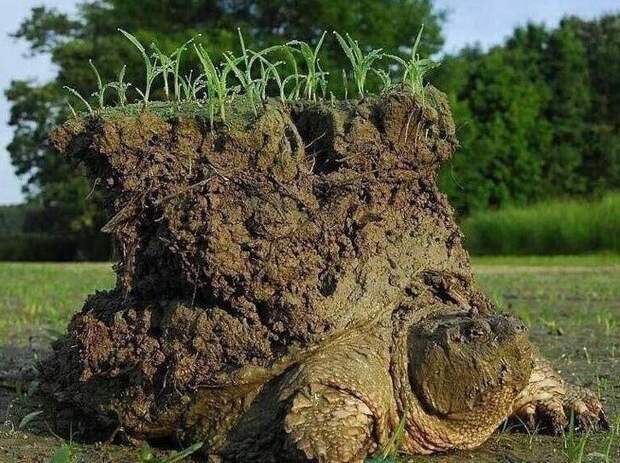 Таким мы его не видели: 10 фотографий, показывающих мир с незнакомой нам стороны