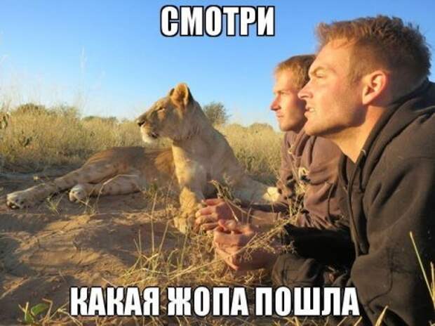 Приколы и приколихи.