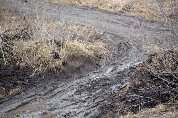Паводок отступил в Тульской области, инфраструктура проверена и очищена