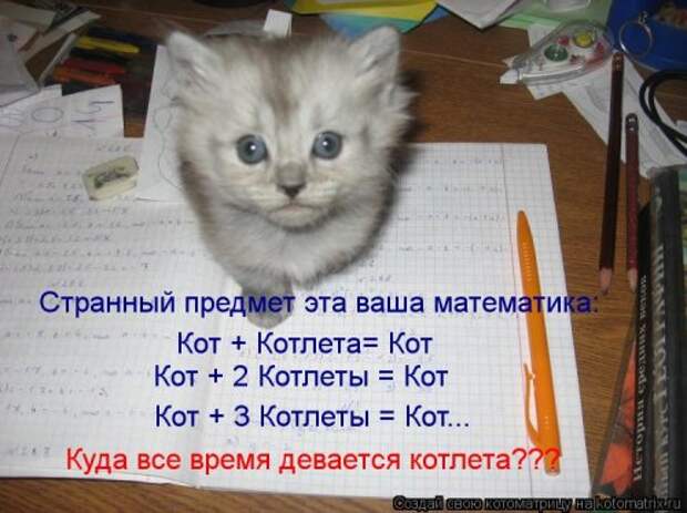 Новый сборник свежих котоматриц (30 шт)