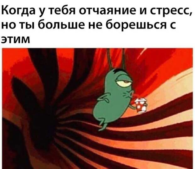 Очередная порция картинок с подписями картинки с подписями, подборка, позитив