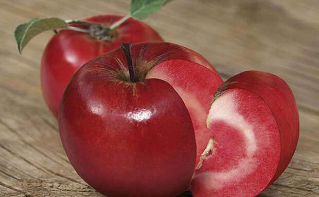 10 самых странных и необычных яблок в мире