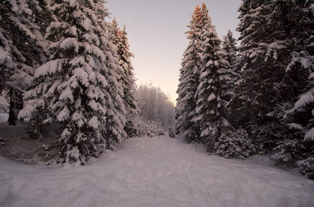 Красивые зимние фотографии .