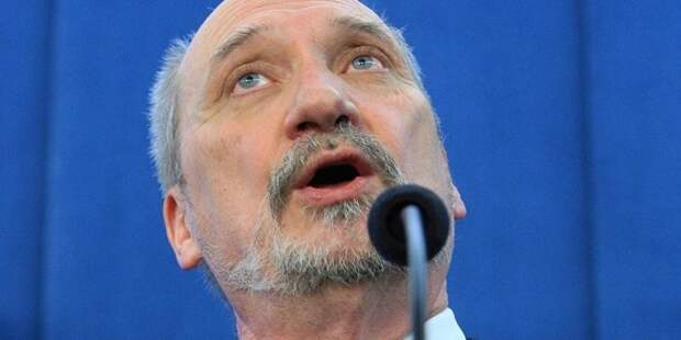 http://petrogazeta.ru/media/news/6636.jpg