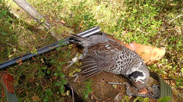 Легендарная каша с рябчиками