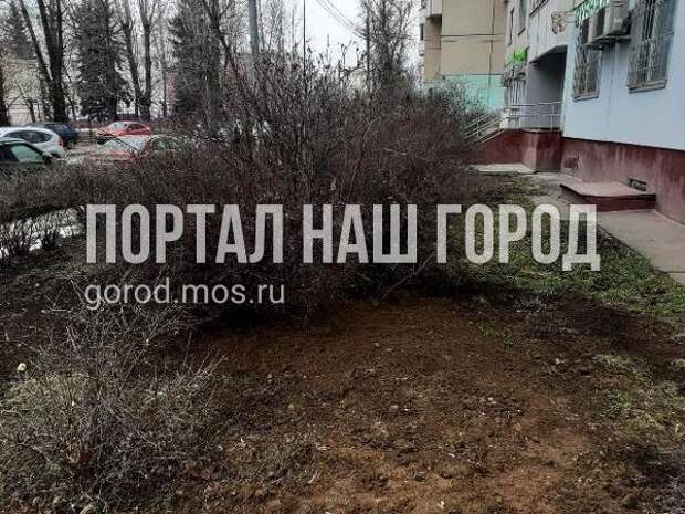 Грунт2.jpg
