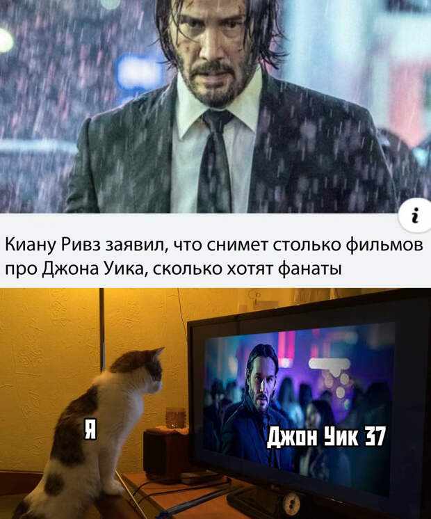 www.vsyako.net