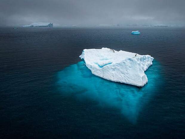 Коллекция удивительных снимков от National Geographic за 2012 год Коллекция удивительных снимков от National Geographic за 2012 год