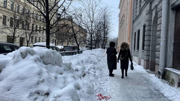 Город завален мусором: петербуржцы пожаловались на некачественную уборку Северной столицы
