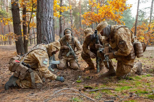 Украинские военные "выбросили" белый флаг: ВСУ и русская армия проводят разминирование и эвакуацию тел погибших