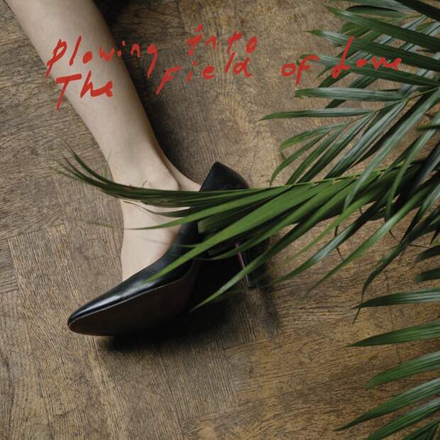 17. Iceage, «Plowing the Fields of Love», фото
