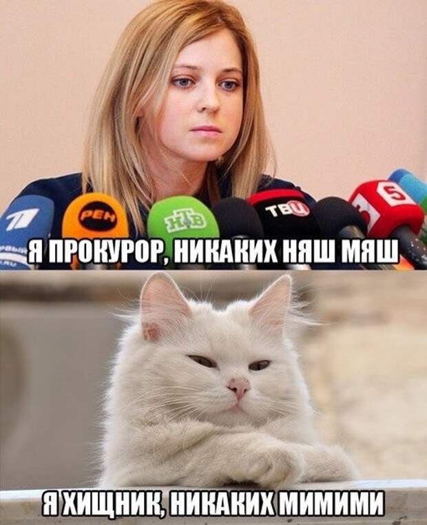 grey Наталья Поклонская в иллюстрациях