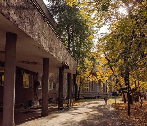 Исследовать, танцевать и пробовать новое: фестиваль «Свободная форма» пройдет в ЗИЛе
