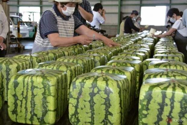 Примеры необычного дизайна самых обычных предметов