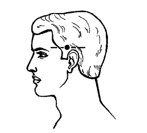 pic16 (350x317, 41Kb)