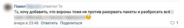 Город завален мусором: петербуржцы пожаловались на некачественную уборку Северной столицы